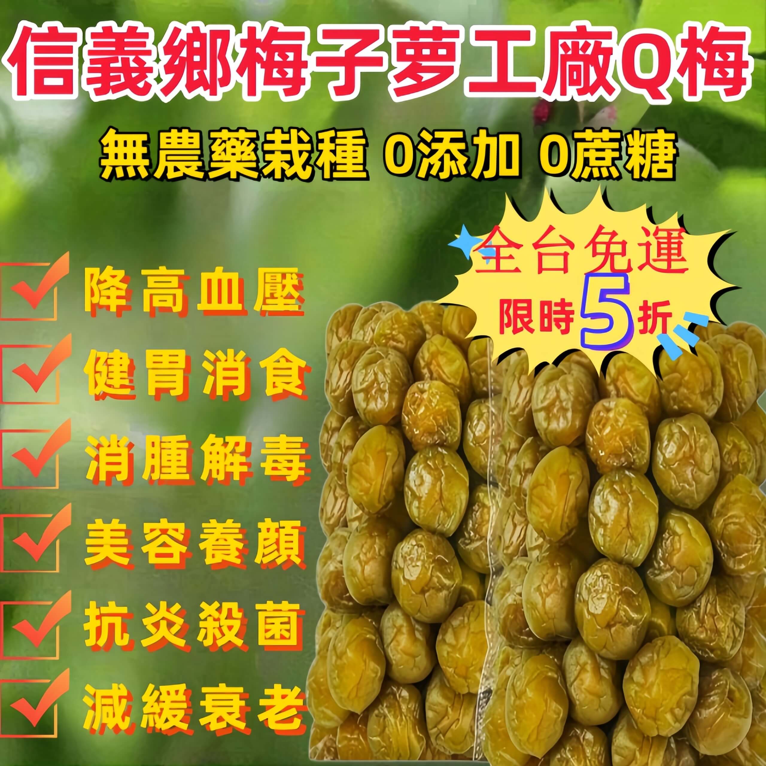 南投信義鄉Q梅